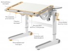 Детский стол Mealux Ergowood L
